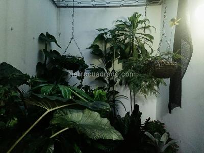 Casa de 4 alcobas en venta en Belen, Medellín, 207 m² · foto 12 de 12