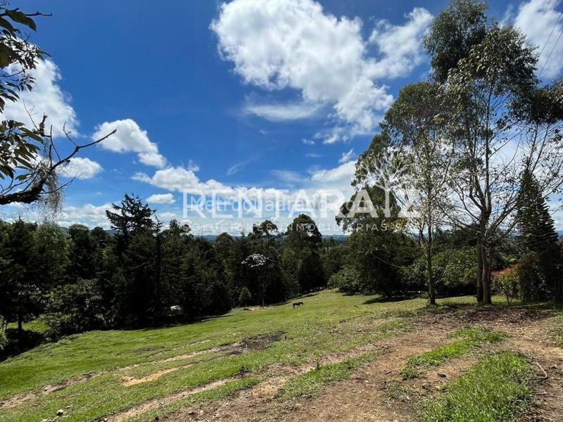 Lote en Venta, Aeropuerto Jose Maria Cordoba, Rionegro - Vista 3