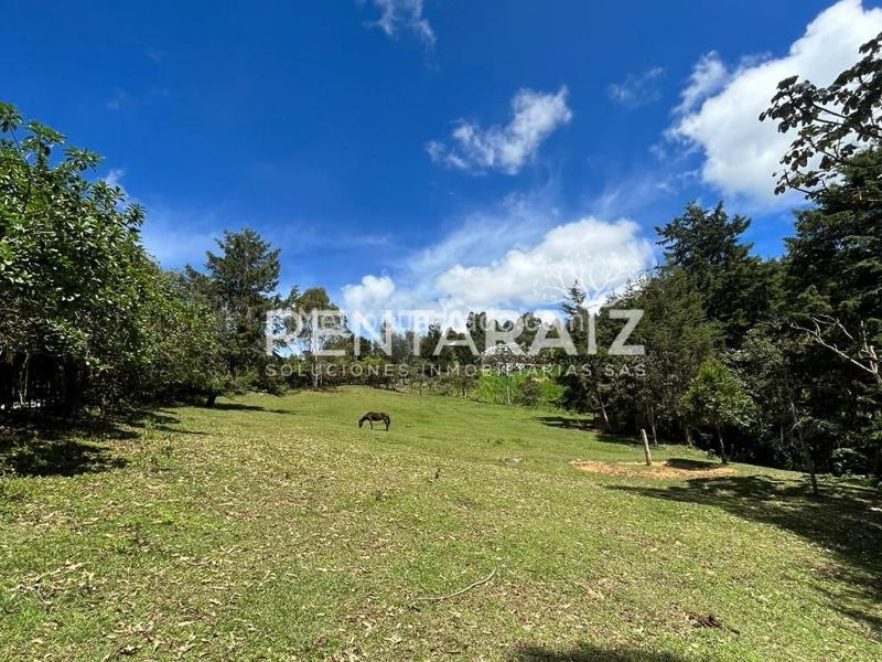 Lote en Venta, Aeropuerto Jose Maria Cordoba, Rionegro - Vista 4