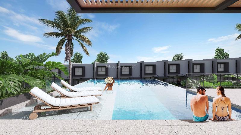 Proyecto Brassia Campestre – pohled 2