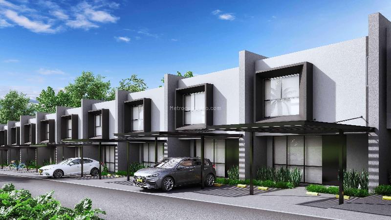 Proyecto Brassia Campestre – pohled 3