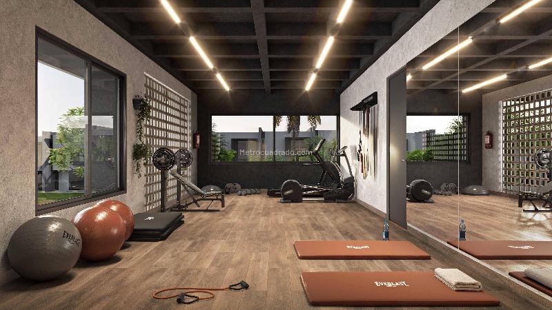 Proyecto Brassia Campestre – pohled 6