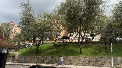 Apartamento en venta en Chapinero Alto, Bogotá · foto 19 de 20