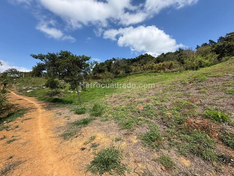 Lote en Venta, Zapatoca, Bucaramanga - Vista 4