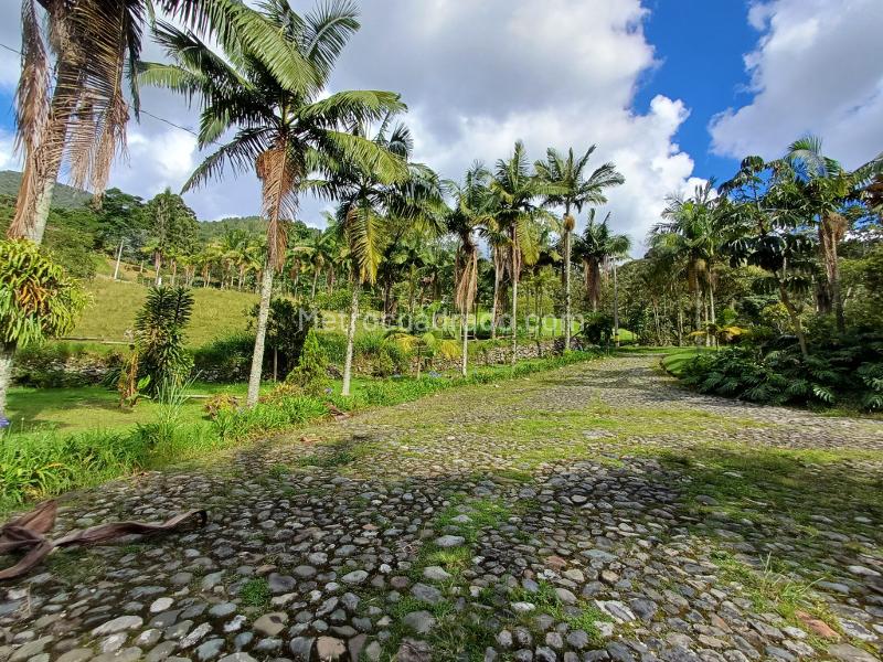 4BR House in Loma El Chocho (350 m²) - 2