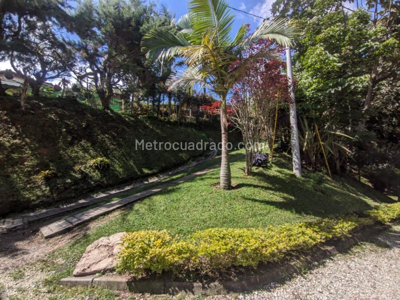 Casa en Arriendo, Cabeceras, Rionegro - 3