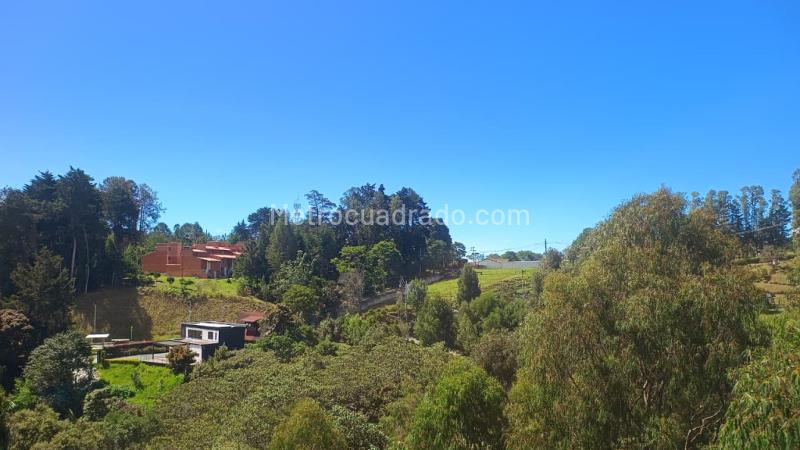 Oficina en Arriendo, Envigado, Envigado - Vista 3