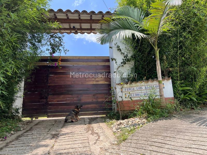 Finca en Arriendo, La Variante, Caldas - 2