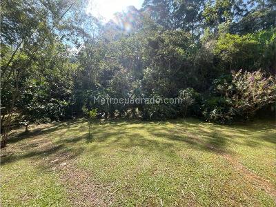 Casa de 4 alcobas en arriendo en Centro Comercial San Sebastian, Envigado, 454 m² · foto 19 de 20