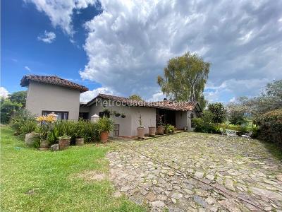 Casa en Arriendo, Llanogrande Milla De Oro, Medellín