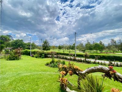 Casa de 4 alcobas en arriendo en Llanogrande, Medellín, 350 m² · foto 5 de 20