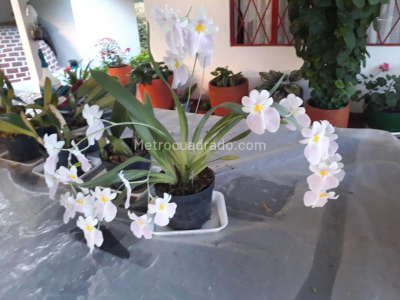 Finca en Venta, San Francisco, San Francisco – pohled 3
