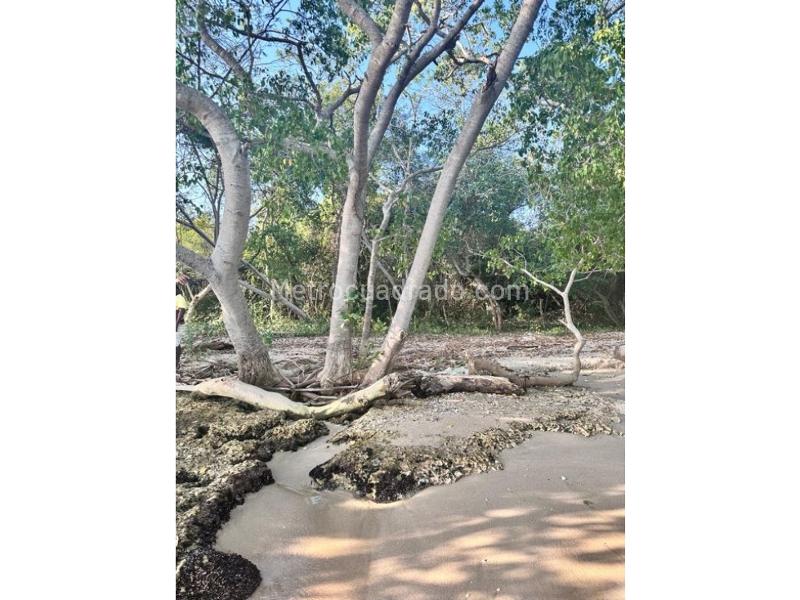 Lote en Venta, Baru, Cartagena de Indias - Vista 4