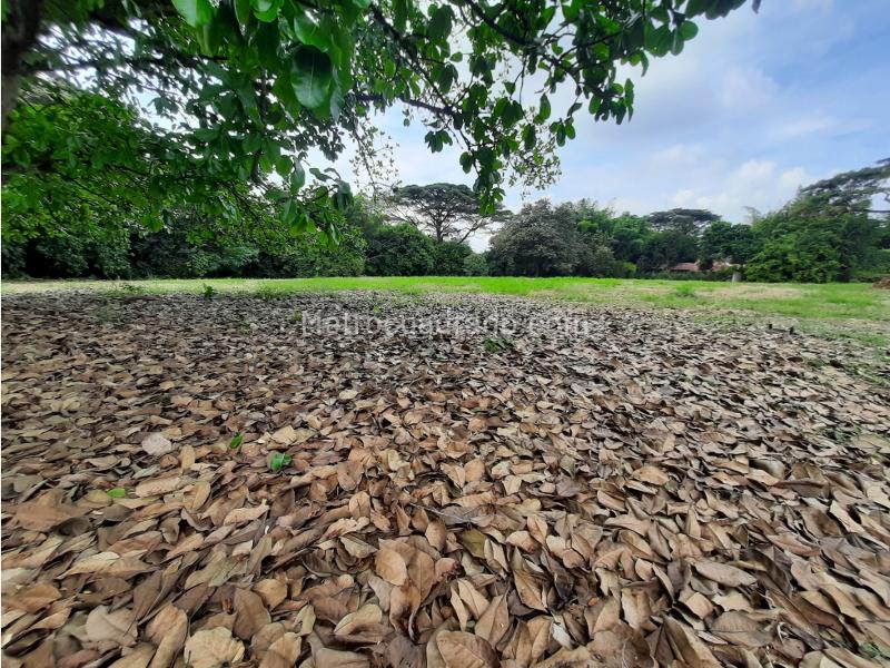 Lote en Venta, Pance, Cali - Vista 4