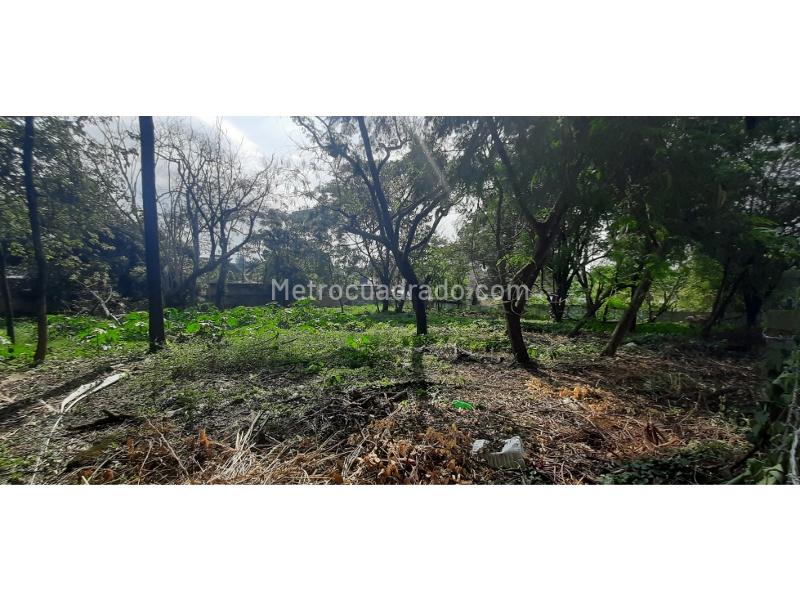 Lote en Venta, Pance, Cali - Vista 4