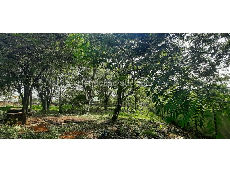 Lote en Venta, Pance, Cali - Vista 5