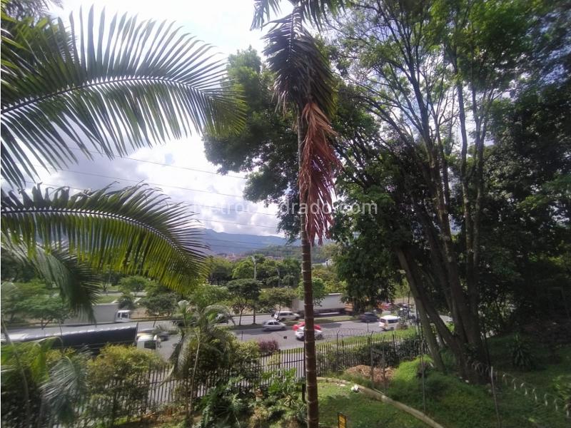 Furnished 1BR Apartment with Balcony in Conquistadores - 6