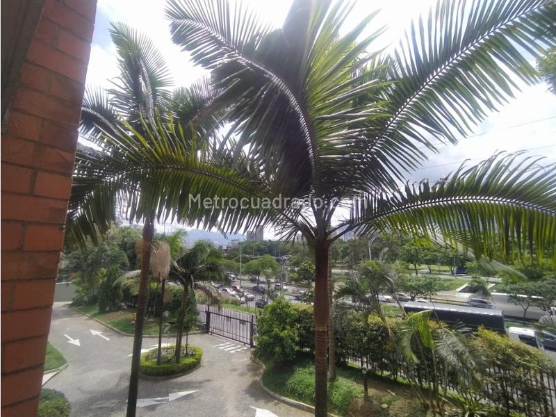 Furnished 1BR Apartment with Balcony in Conquistadores - 7