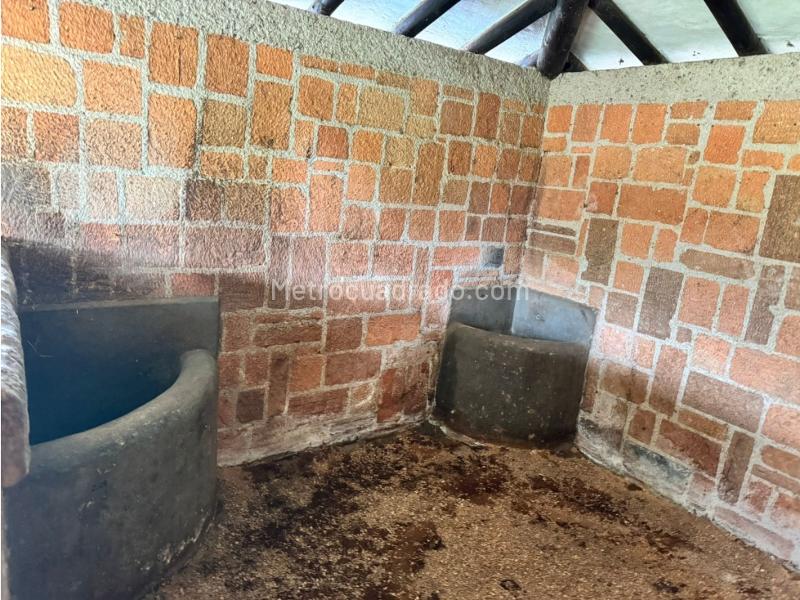 Casa en Arriendo, Llano Grande, Rionegro - 5