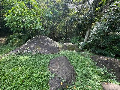 Casa en arriendo en El Poblado, Medellín · foto 14 de 16