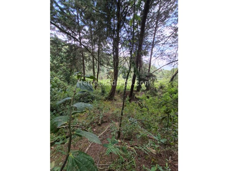 Lote en Venta, San Cristobal, Medellín - Más
