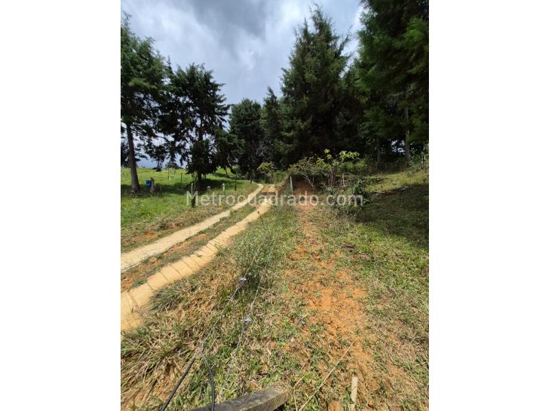 Lote en Venta, San Cristobal, Medellín - Vista 2