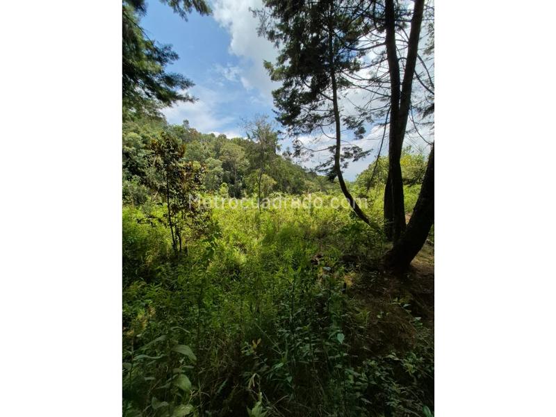 Lote en Venta, San Cristobal, Medellín - Vista 4