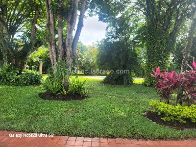 Casa de 5 alcobas en venta en Alameda Pance, Cali, 430 m² · foto 13 de 20