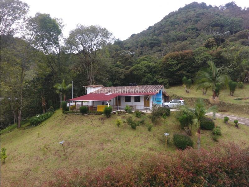 House for Rent in Vereda Yarumal, Rionegro