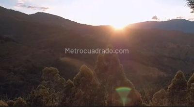 Apartamento de 1 alcoba en venta en Alto Las Palmas, Envigado, 37 m² · foto 15 de 16