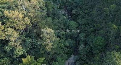Apartamento de 1 alcoba en venta en Alto Las Palmas, Envigado, 37 m² · foto 3 de 16