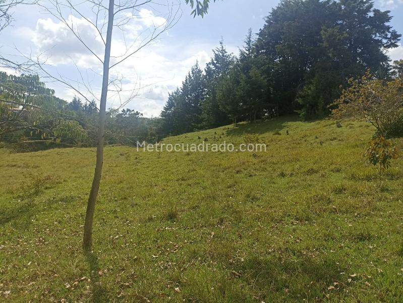 Lote en Venta, SANTA BÁRBARA, Rionegro - Vista 4