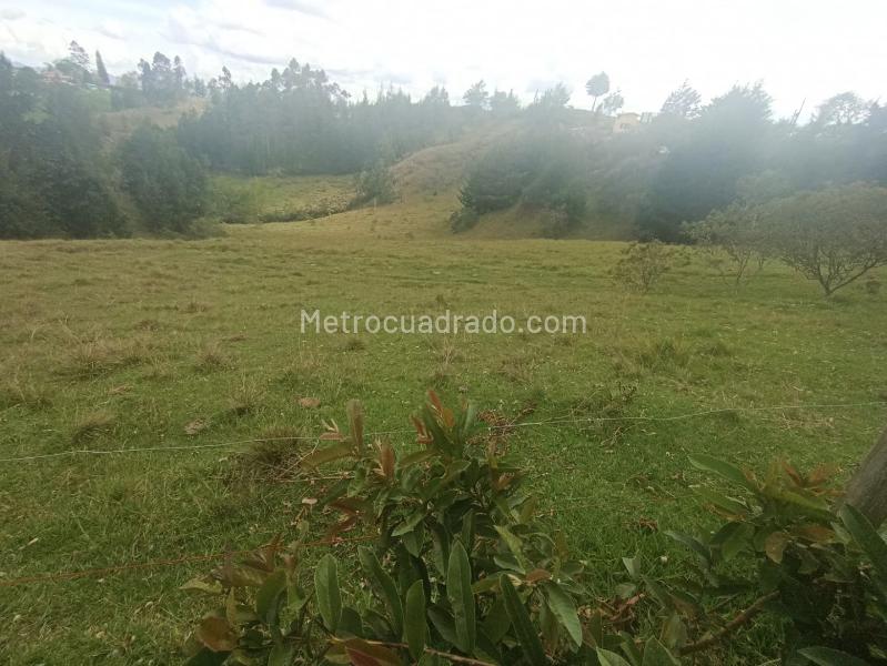 Lote en Venta, SANTA BÁRBARA, Rionegro - Vista 5