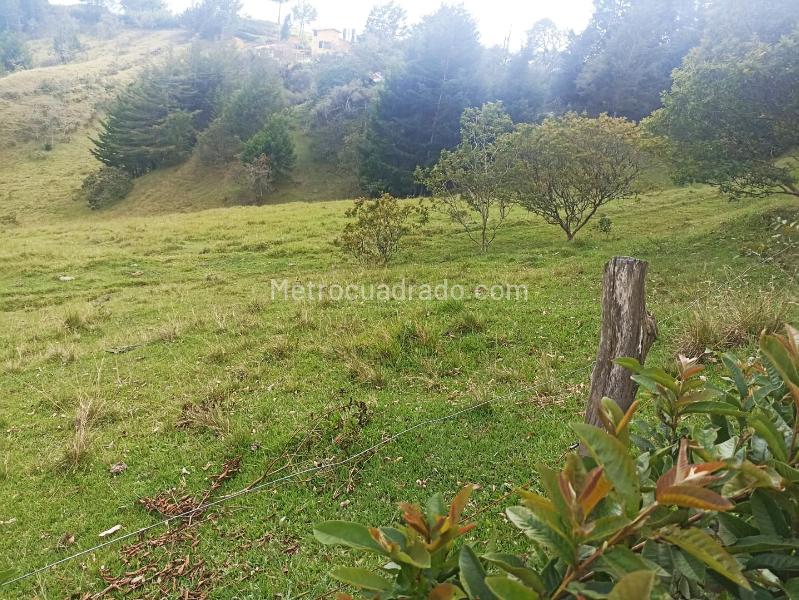 Lote en Venta, SANTA BÁRBARA, Rionegro - Más