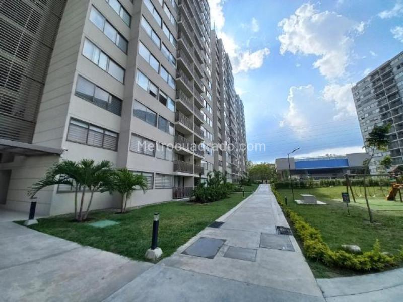 Piso – Ibagué, Centro - Vista 2