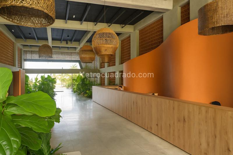 Piso – Ibagué, Centro - Vista 3