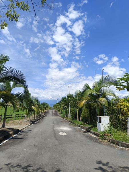 Lote en Venta, Cerritos, Pereira - Vista 3