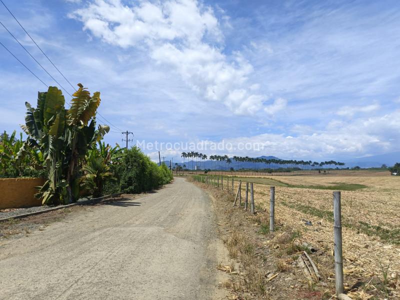 Lote en Venta, Cerritos, Pereira - Vista 4