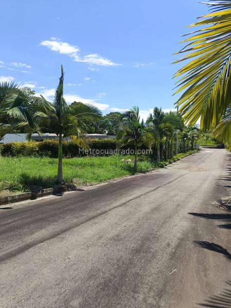 Lote en Venta, Cerritos, Pereira - Más