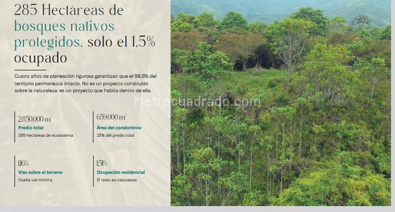 Lote en Venta, Pance, Jamundi - Vista 5