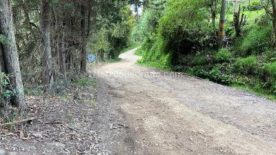 Casa en venta en Vereda El Hato, La Calera · foto 11 de 20
