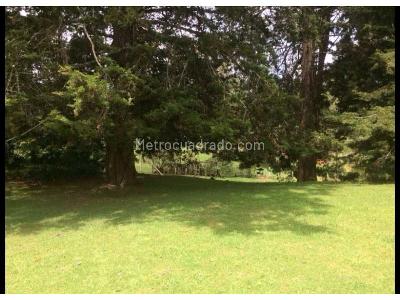 Casa de 4 alcobas en venta en Suroriente, Envigado, 450 m² · foto 16 de 17