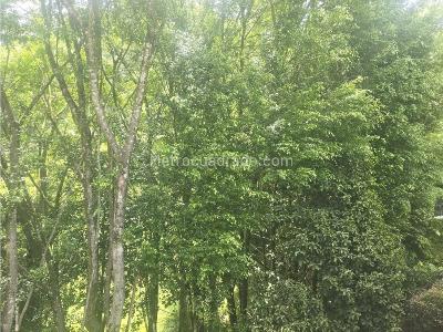 Casa de 5 alcobas en venta en Suroriente, Medellín, 520 m² · foto 13 de 20