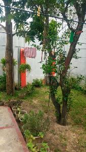 Casa en venta en Alto Prado, Barranquilla · foto 13 de 13