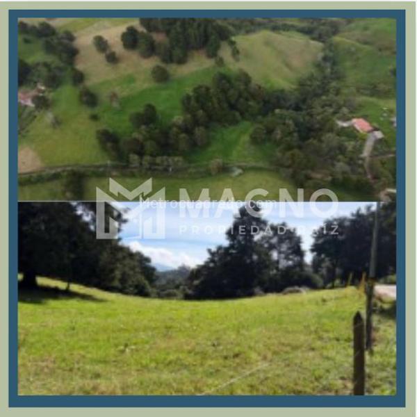 Lote en Venta, San Félix, Bello - Vista 3