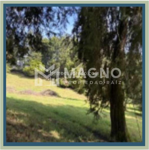 Lote en Venta, San Félix, Bello - Vista 4