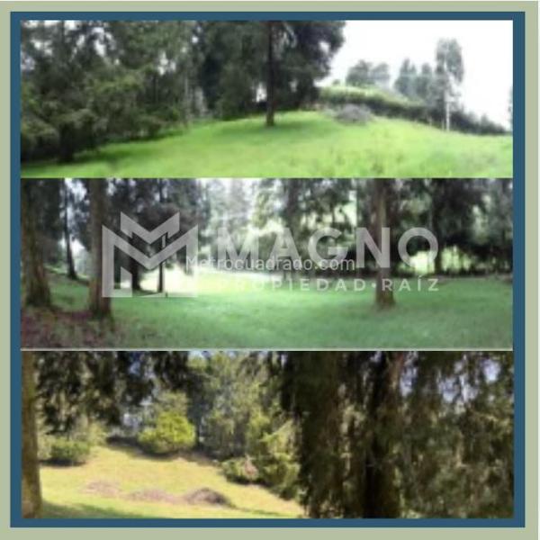 Lote en Venta, San Félix, Bello - Vista 5