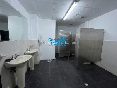 Casa en arriendo en El Prado, Barranquilla · foto 14 de 16