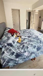 Apartamento de 3 alcobas en venta en Cedritos Barrancas, Bogotá, 89 m² · foto 17 de 20