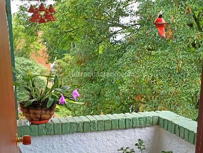Apartamento en venta en Laureles, Medellín · foto 18 de 20